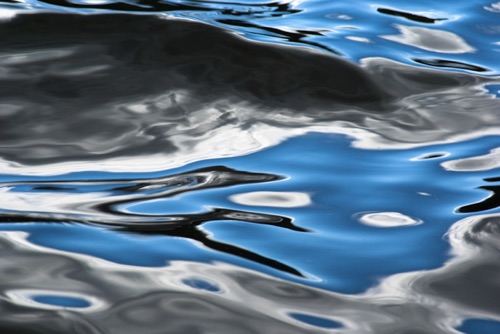 Water Detail, Upland Pond, Sussex County, NJ 09 07 (6970SA).jpg Water Detail, Upland Pond, Sussex County, NJ 09 07 (6970SA).jpg